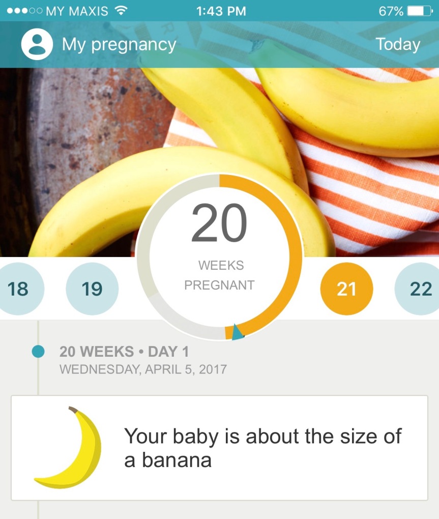 I�m Half Way Thru Second�Trimester!